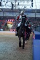 Cavalry - 00318